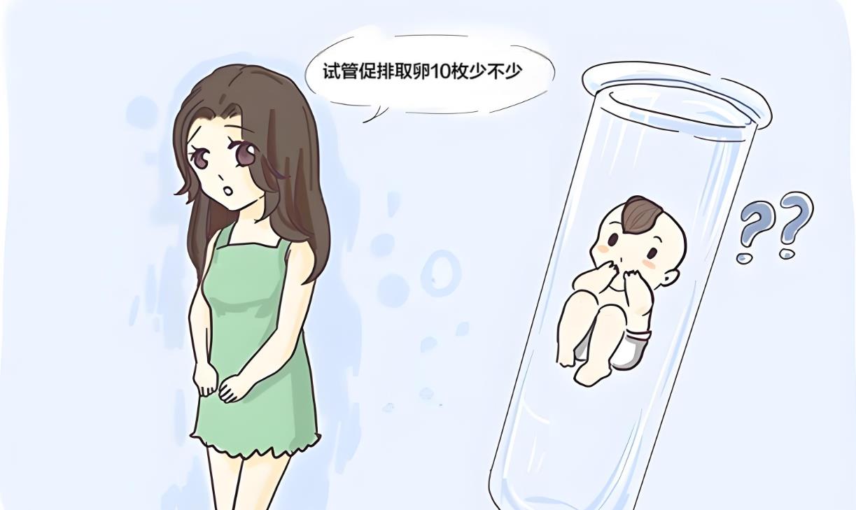 试管促排取卵 10 枚少不少