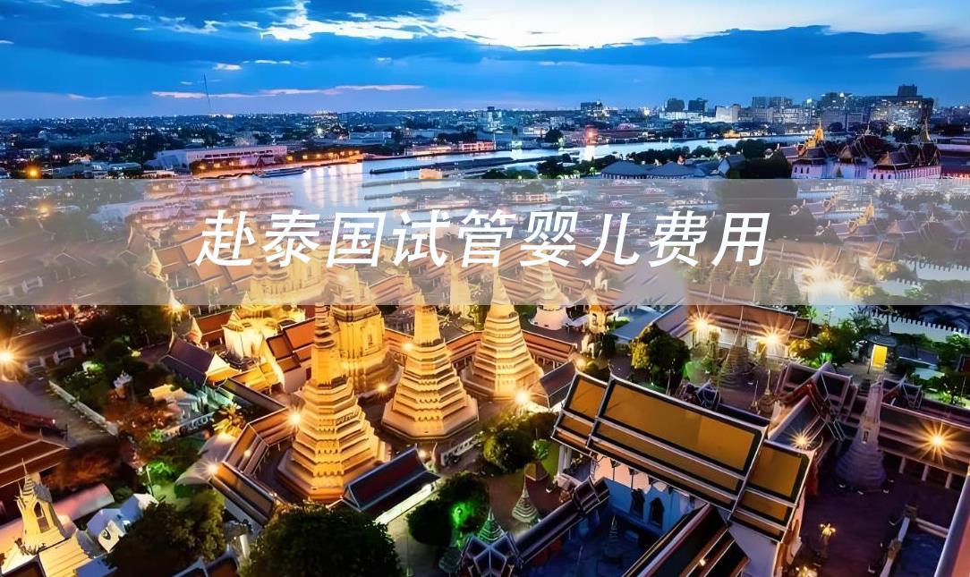 赴泰国试管婴儿费用