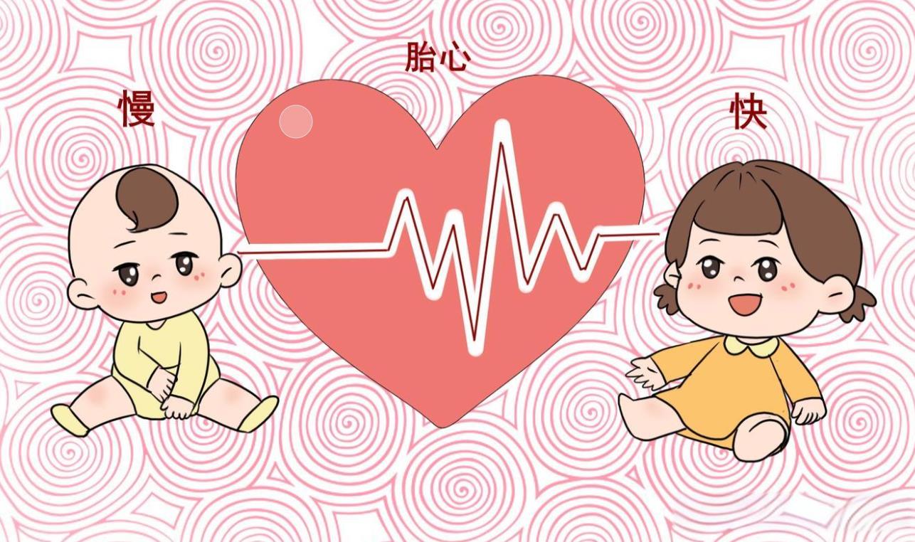 泰国试管移植7周没有胎心怎么办