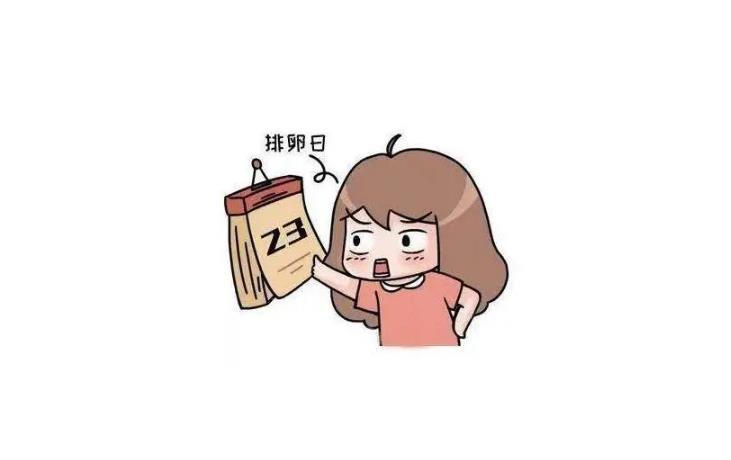 排卵日