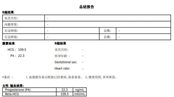 总结报告