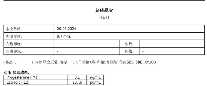 报告