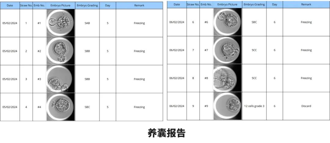 养囊报告