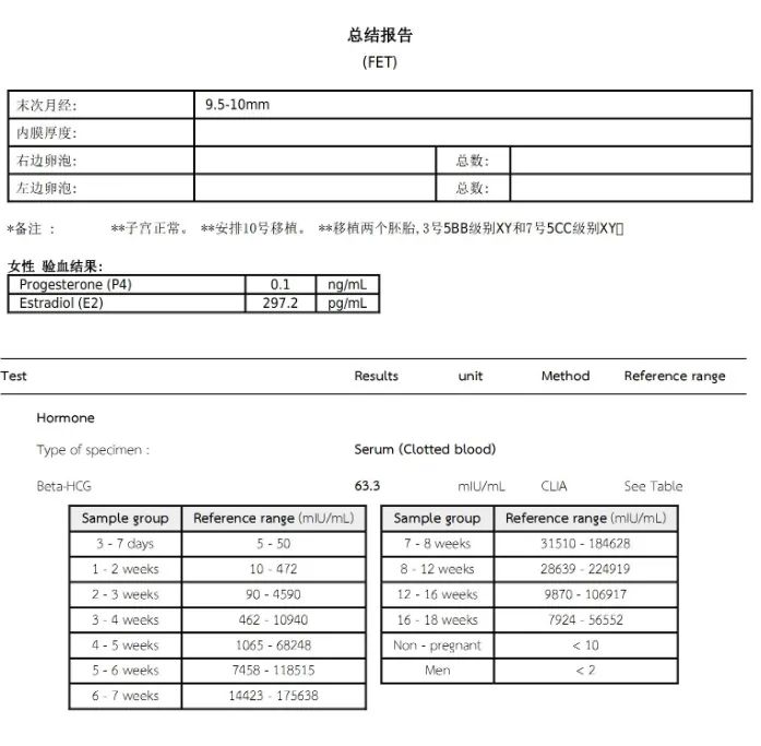 总结报告