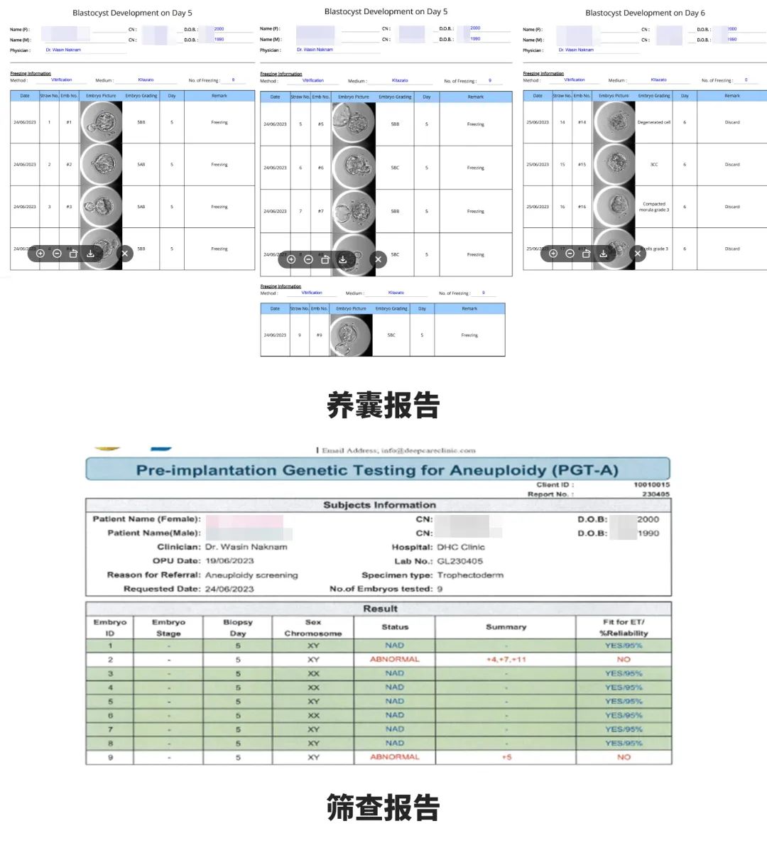 筛查报告