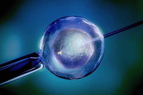 试管婴儿费用是一次还是直到成功？费用支付解析