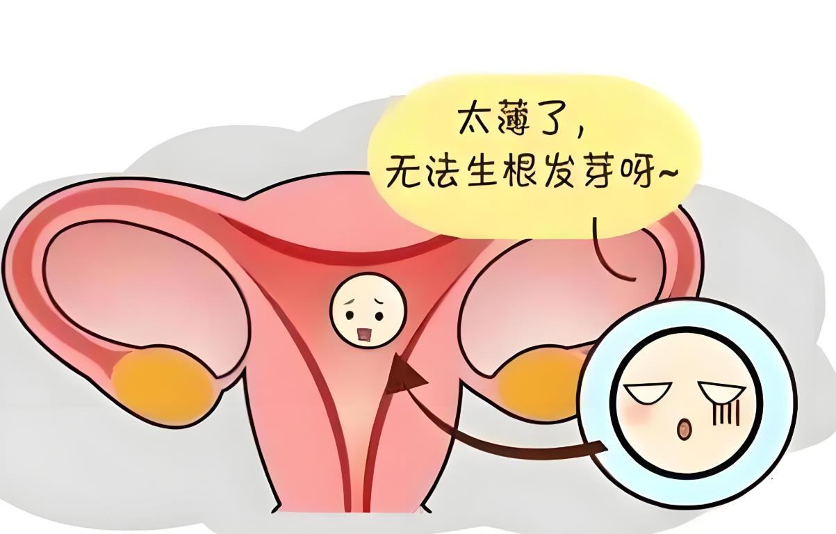 子宫壁薄可以做试管婴儿吗