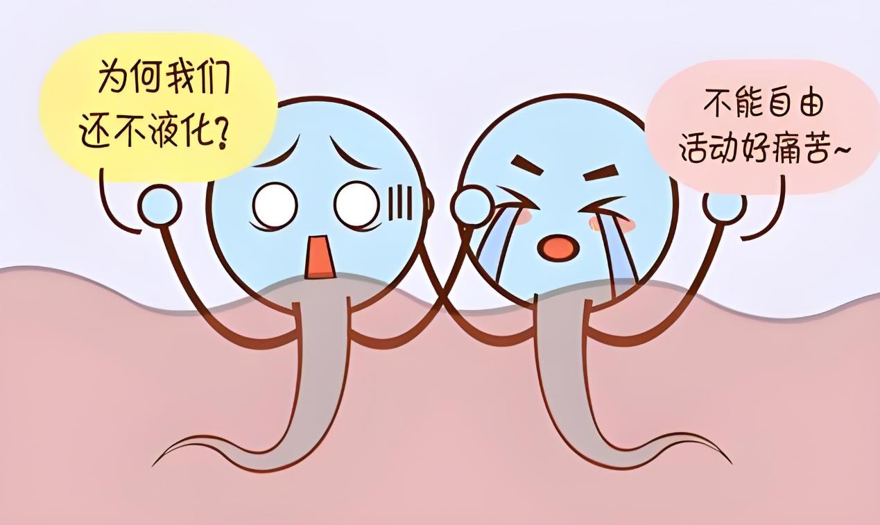 精子不液化中医能治愈吗