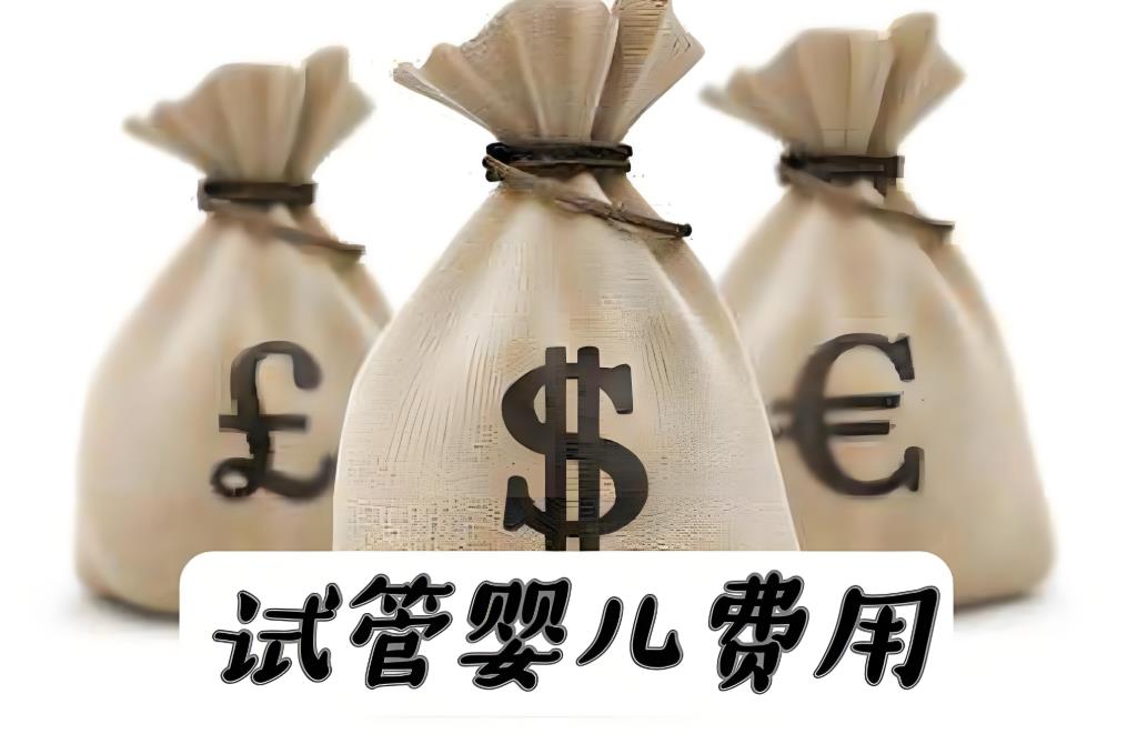 试管费用