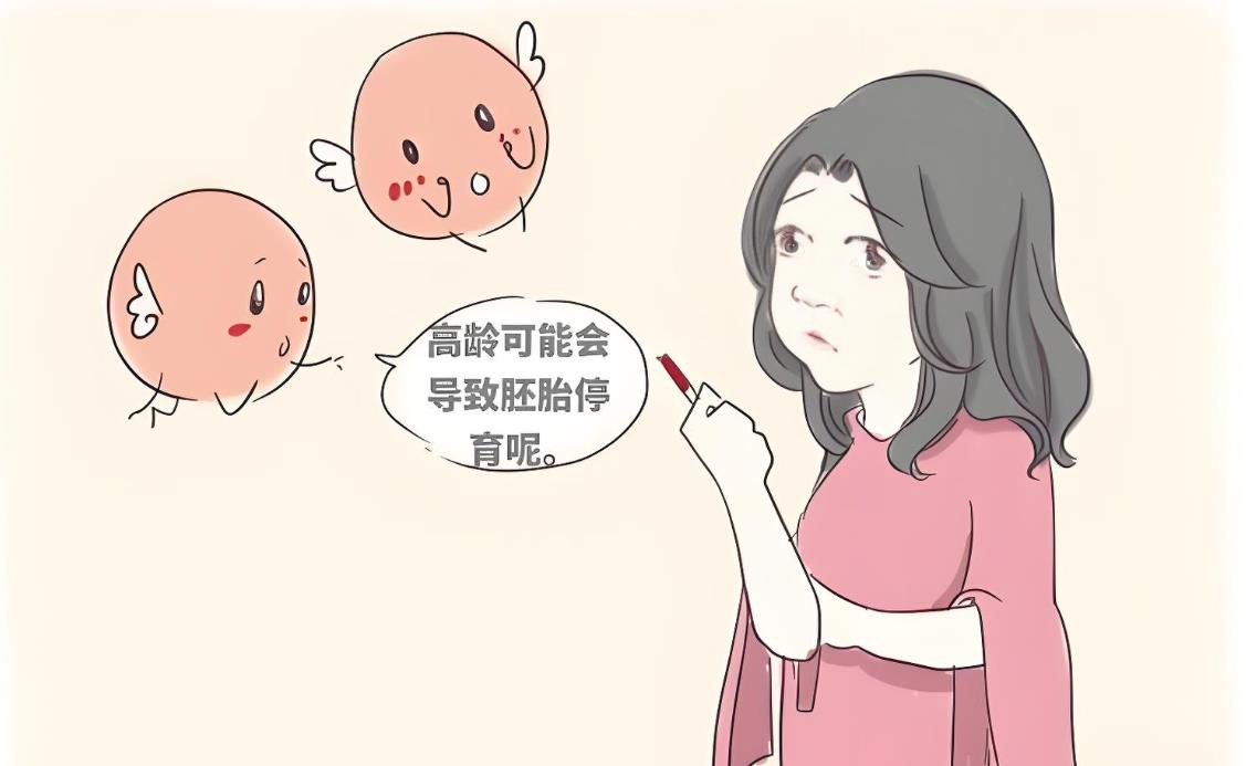 高龄试管