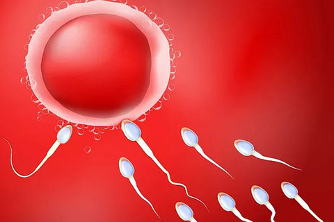 南方医科大学南方医院试管婴儿：费用、成功率与技术优势解析