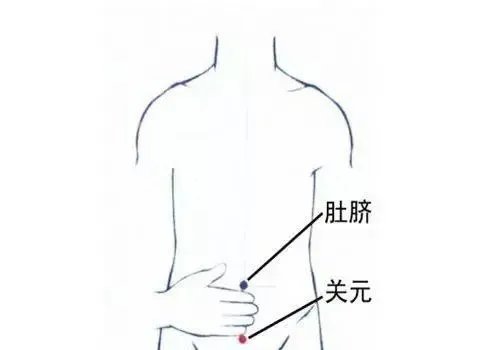 关元穴