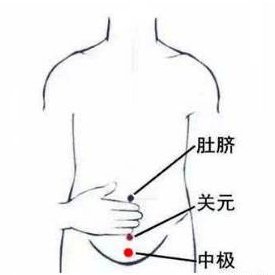 中极穴