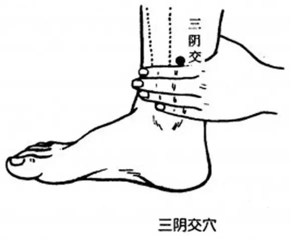 三阴交穴