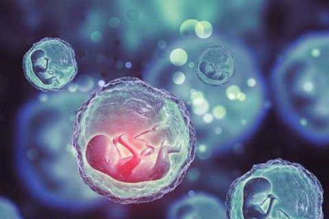 南昌第三代试管婴儿多少钱？最新费用全解析