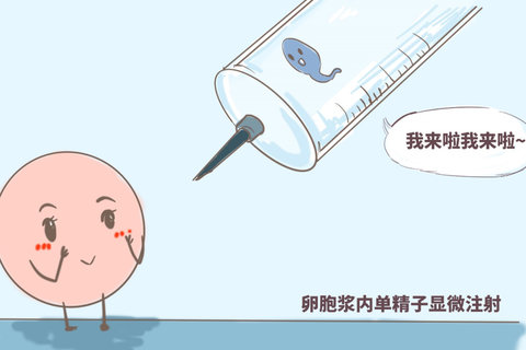 武汉助孕机构有哪些？武汉助孕机构全方位解析