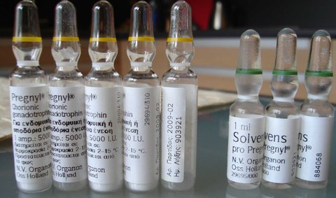 HCG