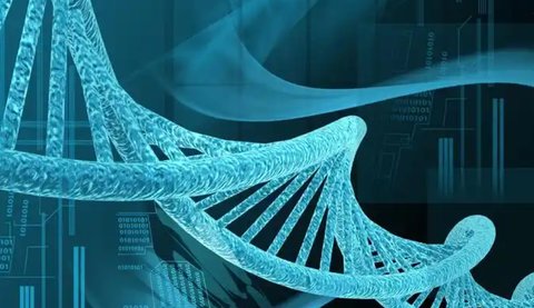 北京做试管一次多少钱？2025北京试管费用解析