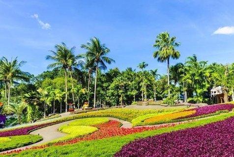 去泰国做试管哪家最好？泰国试管求医指南