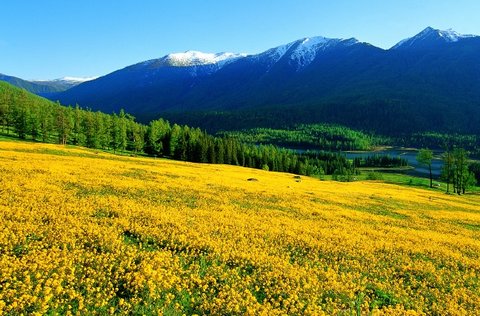 国家免费妇科检查项目有哪些？全面了解与利用指南