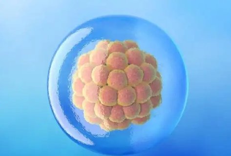 囊胚移植后有什么变化和症状？囊胚移植后1到14天变化图