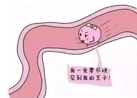 促排卵一次的费用大概多少？促排卵治疗费用详解