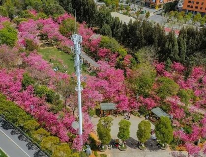 昆明做试管婴儿需多少钱？助您轻松规划生育预算