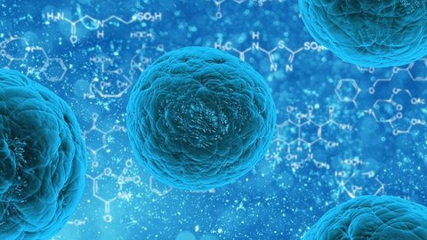 试管婴儿“养囊好还是不养囊好”？科学数据全解析