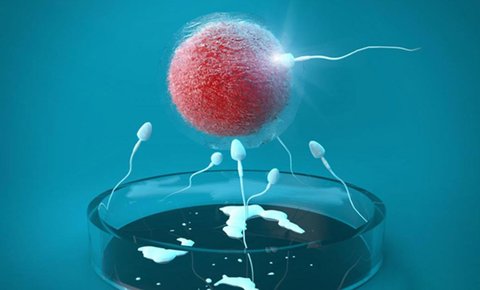 90%成功率阻断致病基因传递！血友病家庭生育健康宝宝全流程指南
