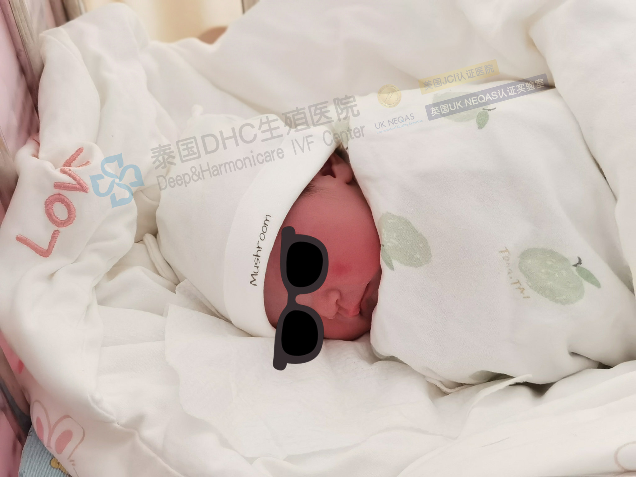 泰国DHC每日好孕故事0620